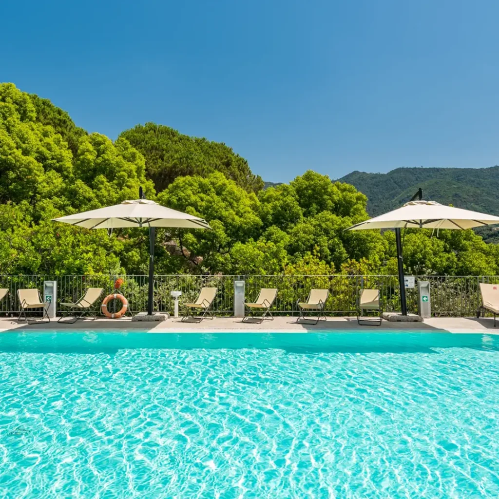 Piscina del Park Hotel Argento